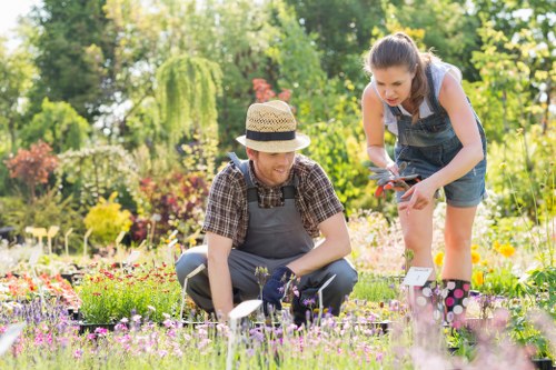 Gardener assessing a front garden