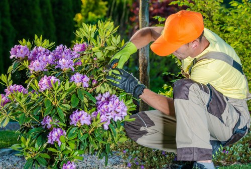 Gardener inspecting a garden with clipboard, safety gear visible