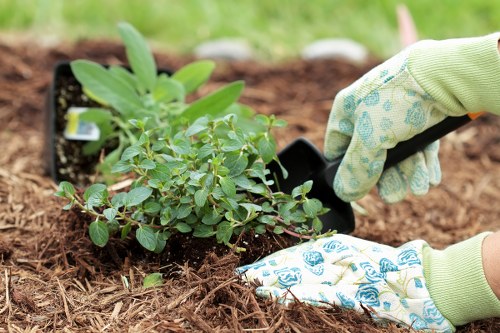 Garden layout design with hardscaping elements
