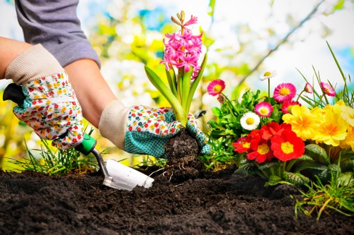 Professional landscaper planning a garden layout