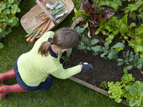 Gardeners Crouch End team meeting to discuss policies