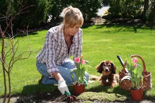 Volunteers and charity partners collecting reusable plant pots and soil