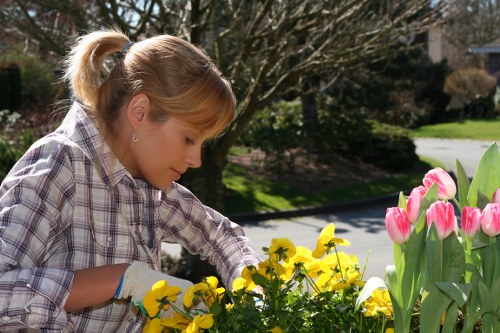 Team of Gardeners Crouch End working on a garden project