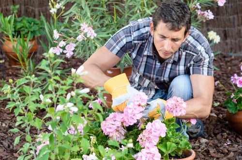 On-site composting and wood chipping for mulch